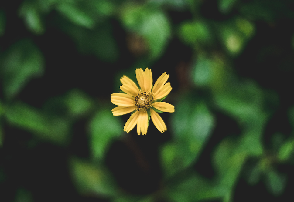 7 Ways You Can Improve Your Focus